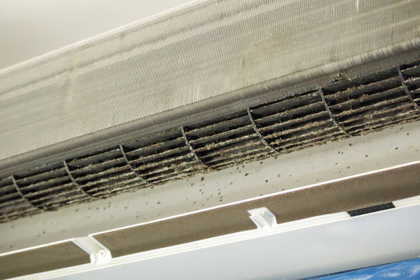 Best Duct Cleaning for Homes  in Olivet, TN