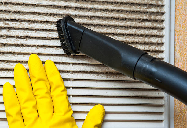 Best Professional Duct Cleaning Services  in Olivet, TN
